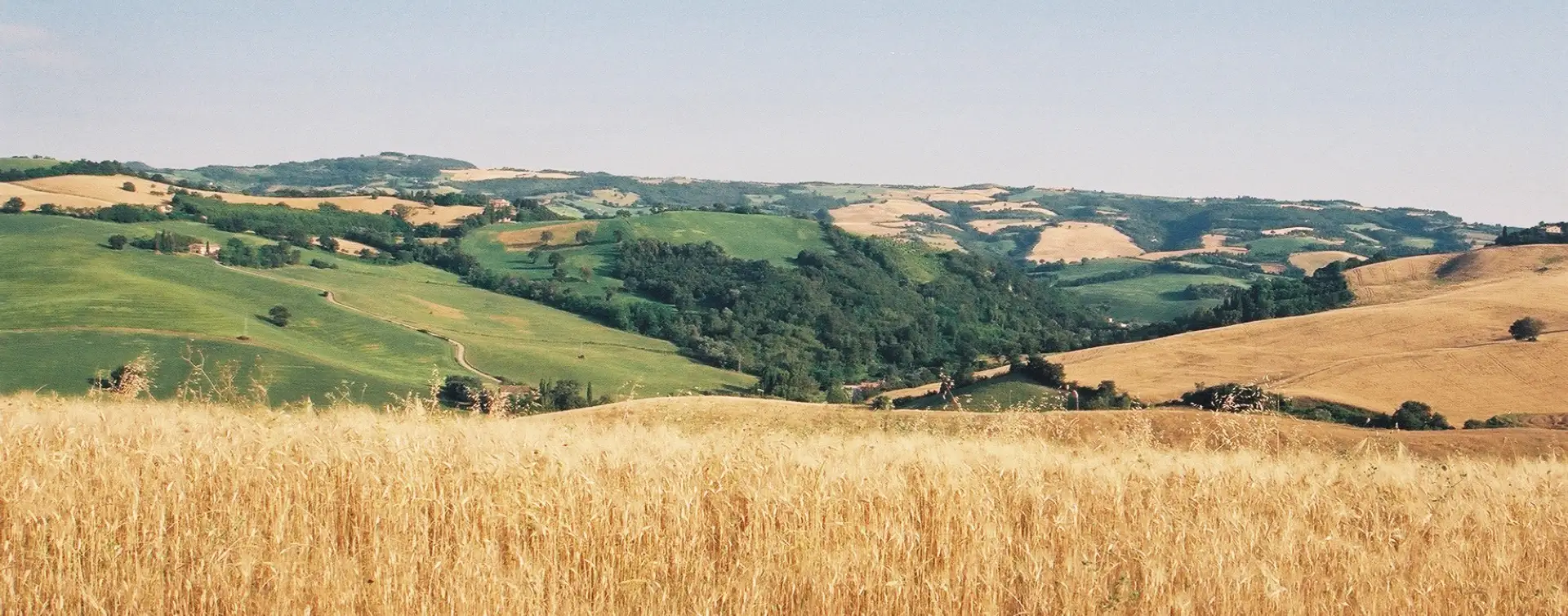 Vallata agricola del Consorzio Terra Bio con coltivazioni di cereali biologici tra le colline italiane.